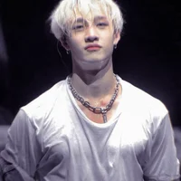 faerie bang chan