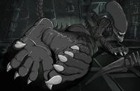 Xenomorph Feet