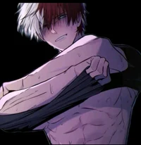 Shoto Todoroki 