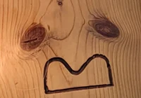 Concerned wood