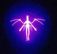 A more perfect Union