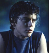Ponyboy Curtis 