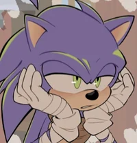 Boom sonic - sonadow