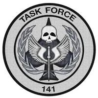 Task Force 141