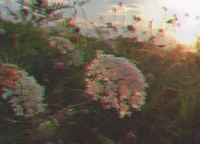 l Toy Shop l-Closed-