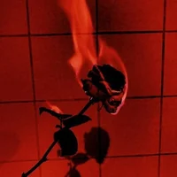 Burning Rose