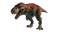 T Rex