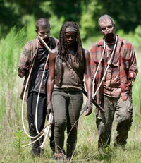 Michonne - Saved