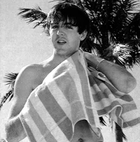 Paul McCartney 