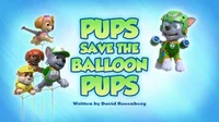 Pups Save the Balloo