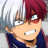 Todoroki Shoto