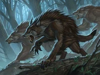 Werewolf Pack