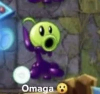 Disparaervilha GSMNT