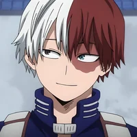 Shoto Todoroki 