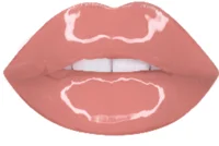 Blueberry_cat1122334