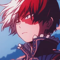 Shoto Todoroki 