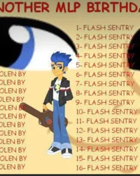 Flash Sentry