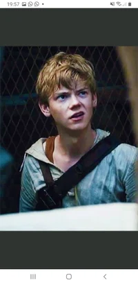 Newt 
