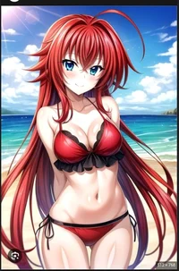 High school dxd