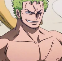 Bully zoro