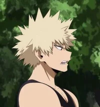 Bakugo katsuki 