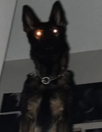 the creepy companion