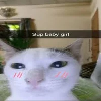 cat with a crush