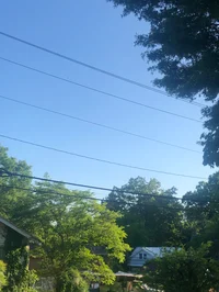 that person who left