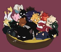 Mha cats