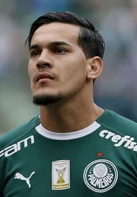 Gustavo Gómez