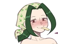 Stoner makino