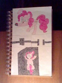 what does this butto