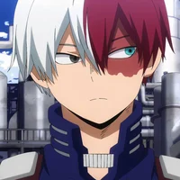 Shoto Todoroki 