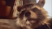 rocket racoon 