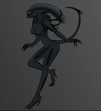 Female Xenomorphs