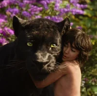Bagheera