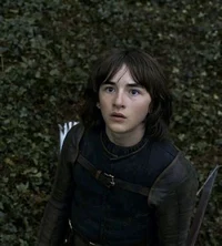 Bran Stark