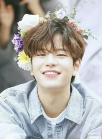 Seungmin - Fan