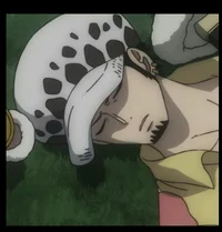 Trafalgar Law