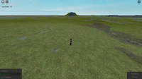 survival