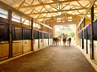 Horse stables