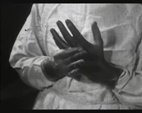 BL - Scientist