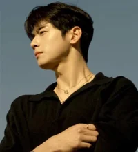 Cha Eunwoo