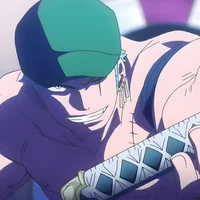 Bounty Hunter Zoro