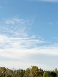 Manila Drew sidekick