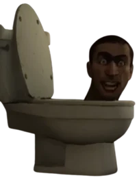 Semi-Large Toilet