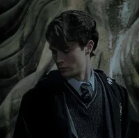 Tom marvolo riddle