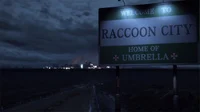 Racoon City