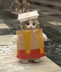 Mcdonalds cat