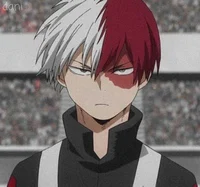 Todoroki Shoto